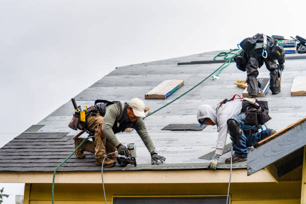 Professional Storm Damage Roof Repair technician working in Casar, NC
